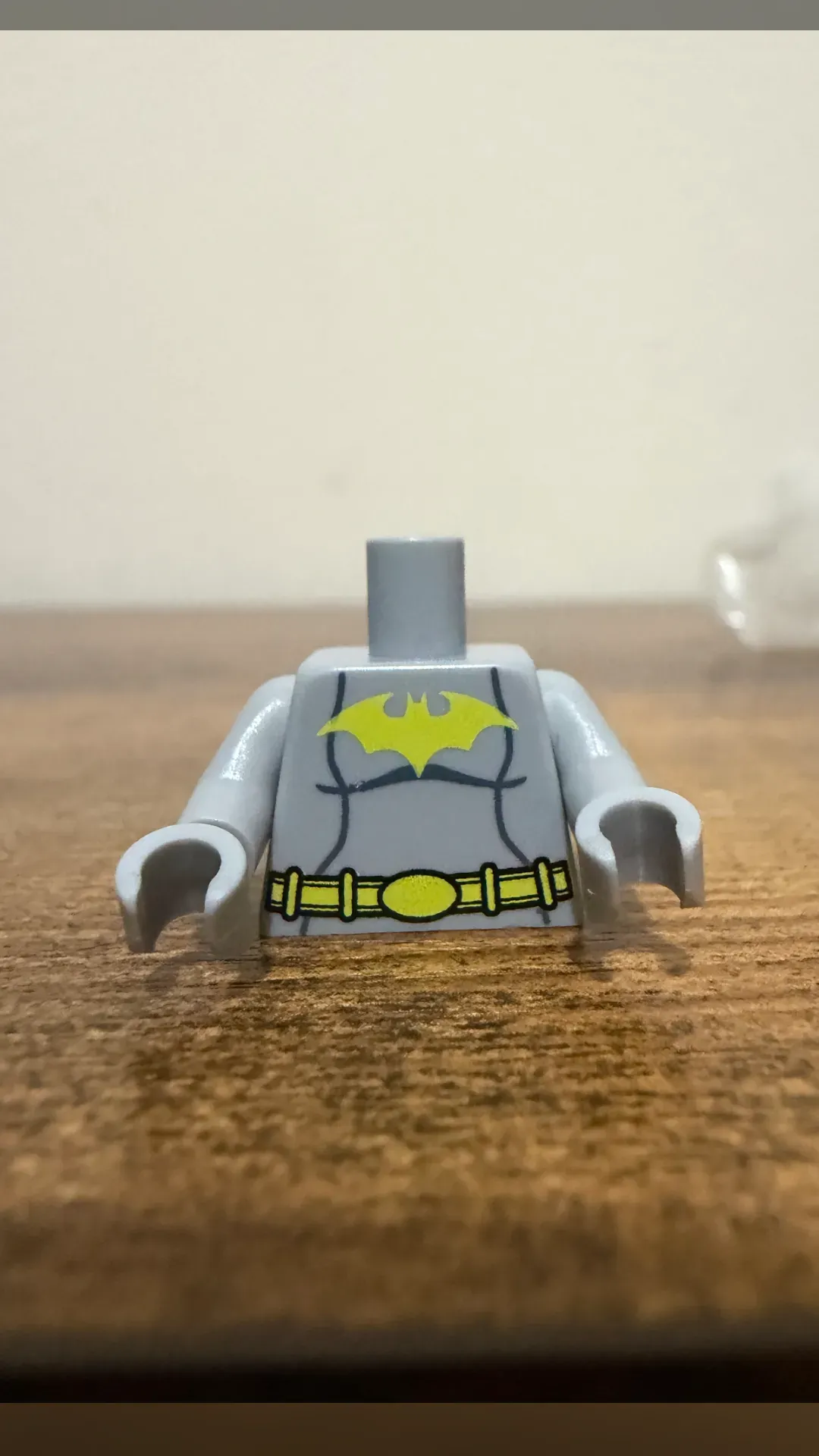 Batgirl Torso 