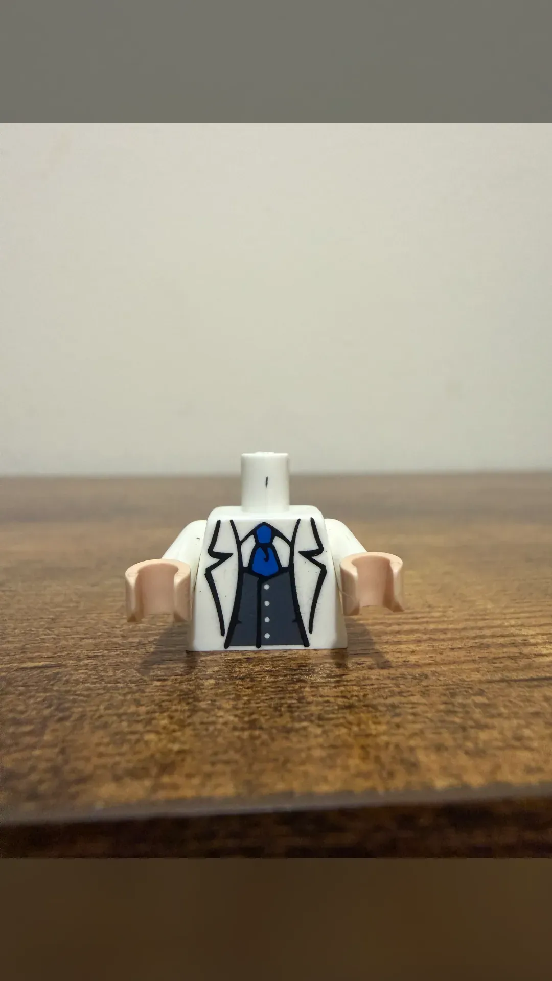 DS Hugo Strange Torso 