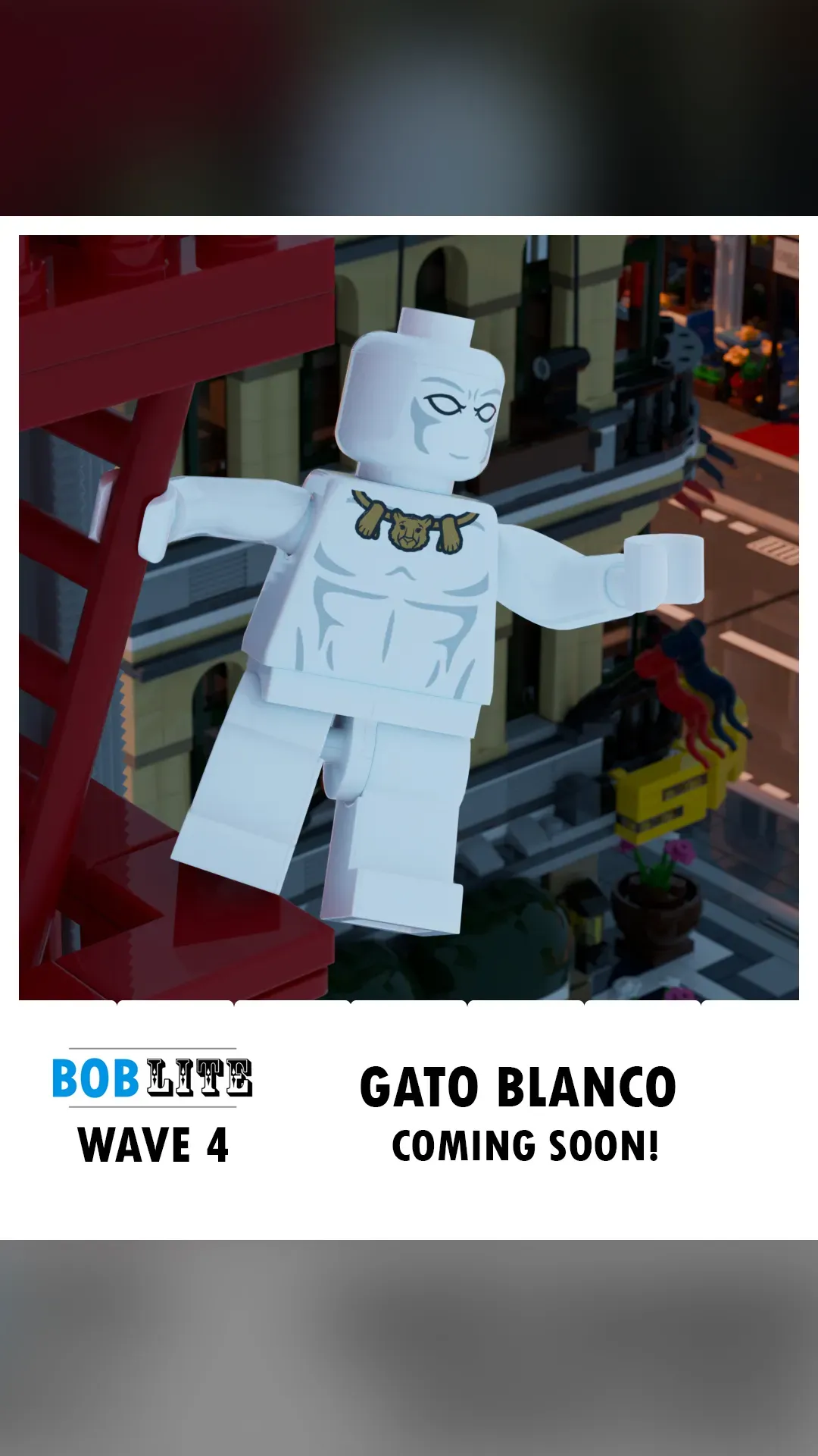 Gato Blanco