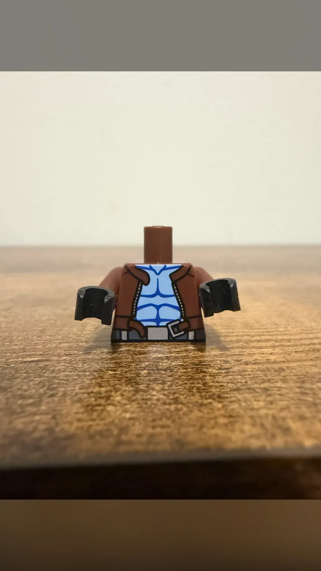 Minibigs Red Hood Torso