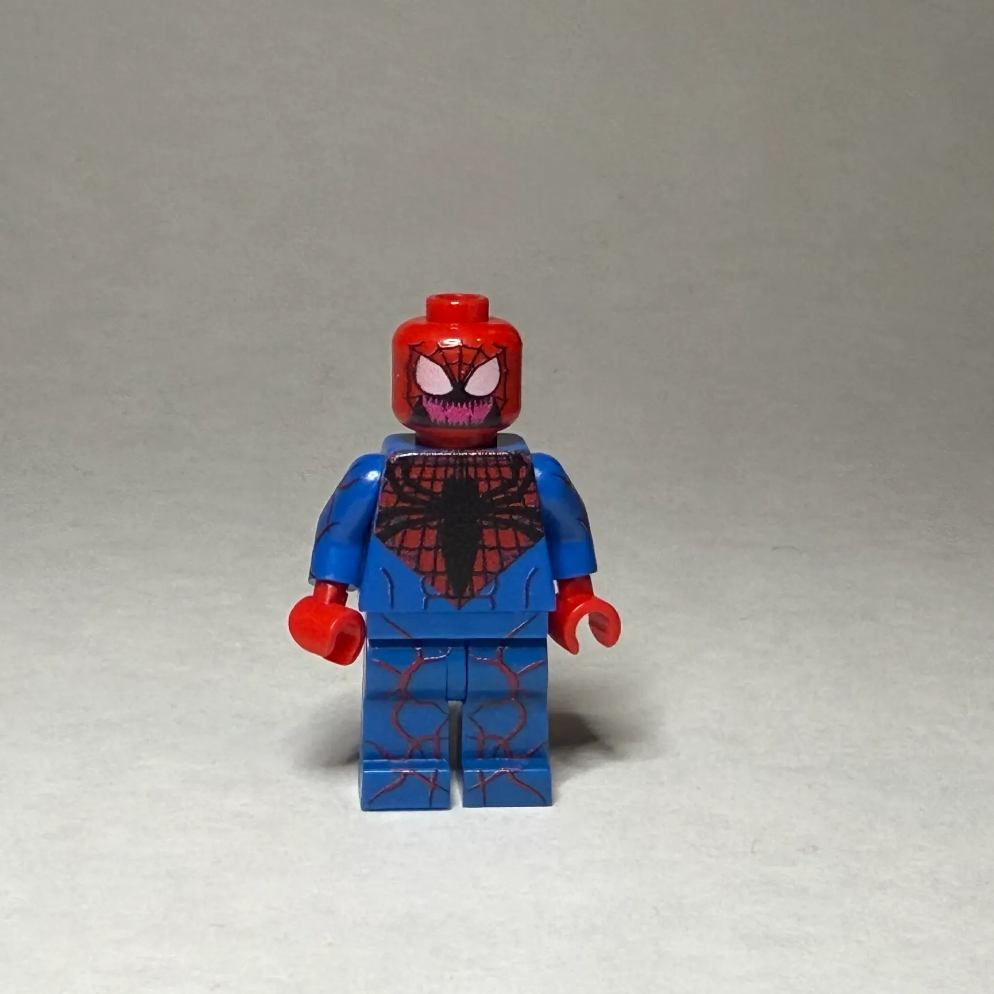 Spider Carnage   - view 1