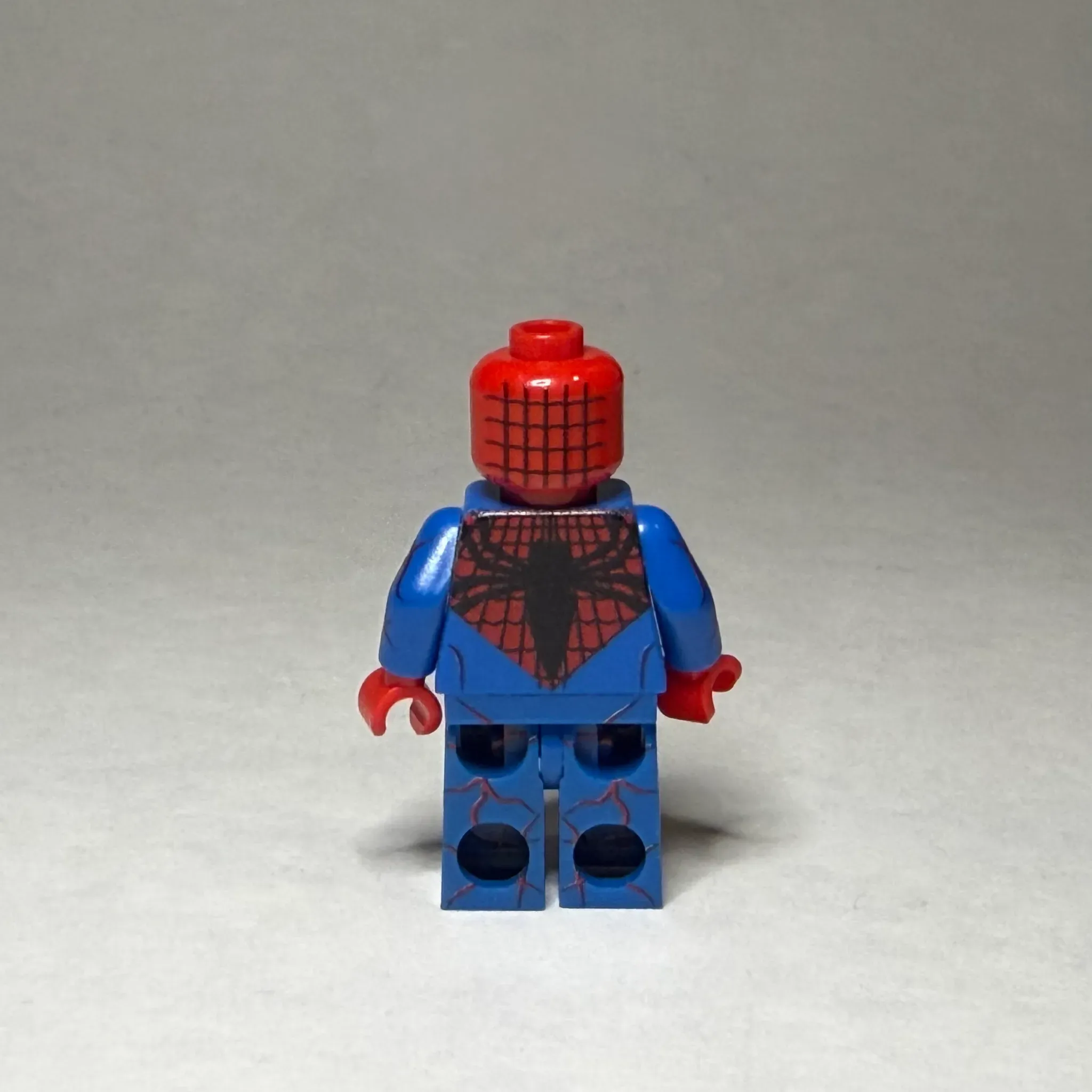 Spider Carnage   - view 2